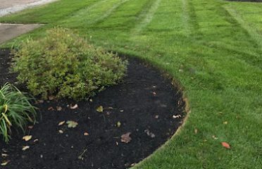 C G Landscape Design Corp