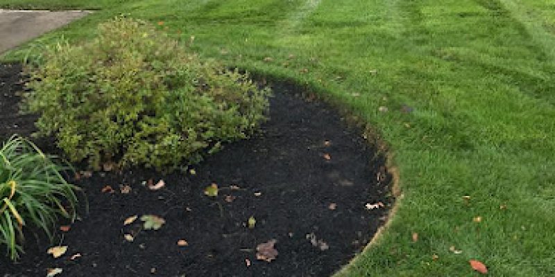 C G Landscape Design Corp