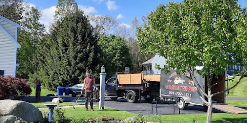 Lovely Earth Gardening