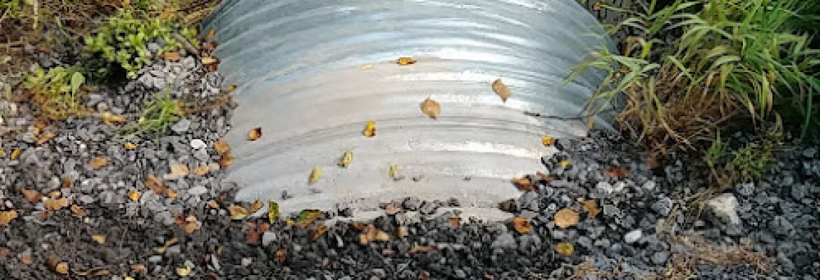 Seymour Excavating Inc