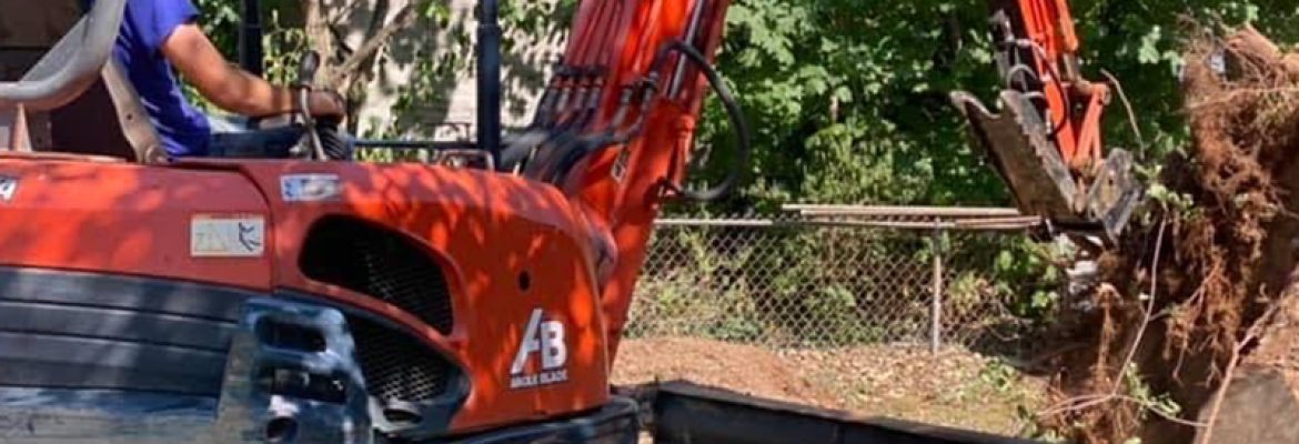 Arrowdale Enterprises LLC