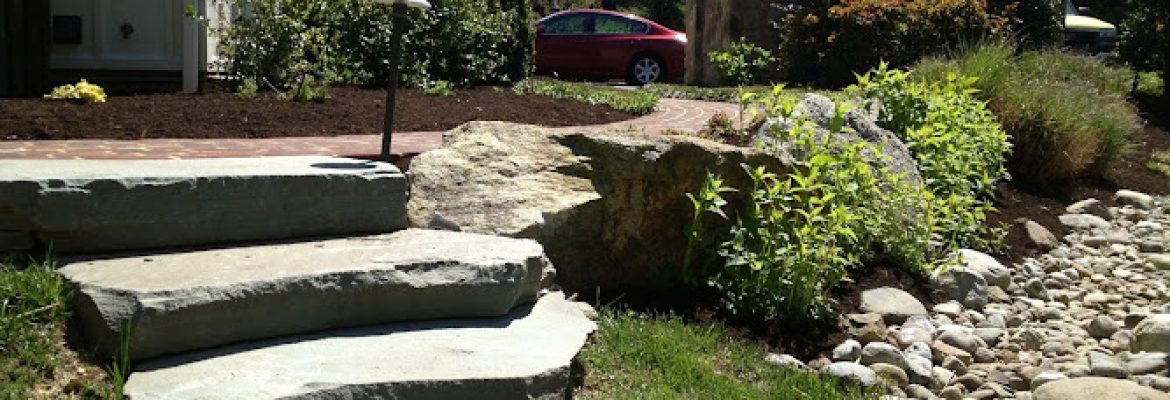 Adan Landscaping LLC