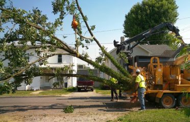 Oberlander’s Tree & Landscape, LTD