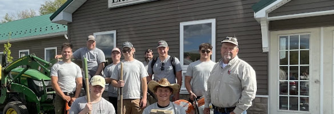 Little Mountain Landscaping