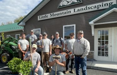 Little Mountain Landscaping