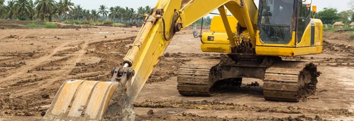 Bulldog Excavation