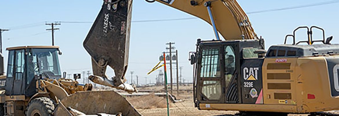 Sturgeon Services International